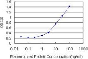 Detection limit for recombinant GST tagged EPHB6 is approximately 1ng/ml as a capture antibody. (EPH Receptor B6 anticorps  (AA 23-122))