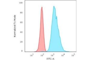 Flow Cytometric Analysis of HeLa cells using Cytokeratin 8 Mouse Monoclonal Antibody (H1) followed by Goat anti-Mouse IgG-CF488 (Blue); Isotype Control (Red).