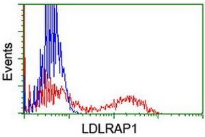 Flow Cytometry (FACS) image for anti-Low Density Lipoprotein Receptor Adaptor Protein 1 (LDLRAP1) antibody (ABIN1496688) (LDLRAP1 anticorps)