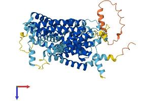 AlphaFold protein structure predicition of Mouse Recombinant Slc7a1 Protein, UniprotID Q09143