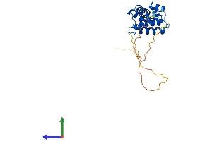 AlphaFold protein structure predicition of Mouse Recombinant Rgs4 Protein, UniprotID O08899