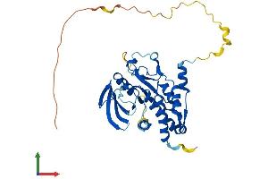 AlphaFold protein structure predicition of Mouse Recombinant Ptpn7 Protein, UniprotID Q8BUM3