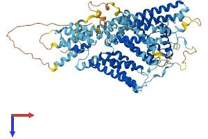 AlphaFold protein structure predicition of Human Recombinant TPCN2 Protein, UniprotID Q8NHX9