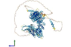 AlphaFold protein structure predicition of Mouse Recombinant Ap4e1 Protein, UniprotID Q80V94