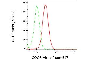 Flow cytometric analysis of COG6 expression in HT- cells using COG6 antibody (ABIN7798144), 1:2,000).