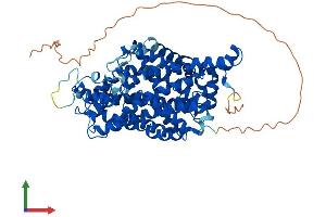 AlphaFold protein structure predicition of Mouse Recombinant Slc6a4 Protein, UniprotID Q60857
