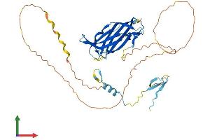 AlphaFold protein structure predicition of Mouse Recombinant Eeig1 Protein, UniprotID Q78T81