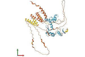 AlphaFold protein structure predicition of Human Recombinant BCL6B Protein, UniprotID Q8N143