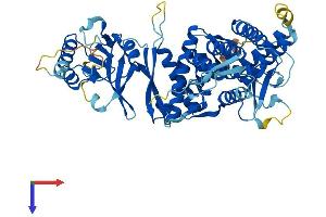 AlphaFold protein structure predicition of Mouse Recombinant Mkks Protein, UniprotID Q9JI70