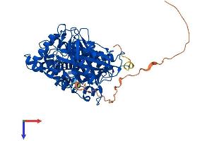 AlphaFold protein structure predicition of Mouse Recombinant Hmgcs1 Protein, UniprotID Q8JZK9