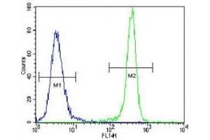 IDH1 antibody flow cytometric analysis of 293 cells (right histogram) compared to a negative control (left histogram). (IDH1 anticorps  (AA 116-143))