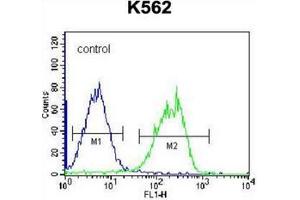 Flow cytometric analysis of K562 cells using HLA-DQA1 Antibody (Center) Cat. (HLA-DQA1 anticorps  (Middle Region))