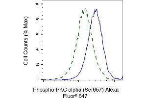 Validation of PKC alpha knockdown using flow cytometry. (Recombinant PKC alpha anticorps  (pSer657))