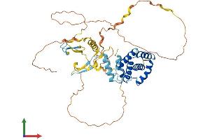 AlphaFold protein structure predicition of Mouse Recombinant Cables2 Protein, UniprotID Q8K3M5