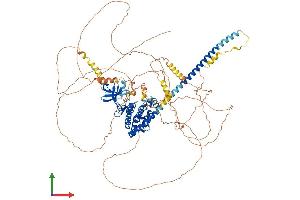 AlphaFold protein structure predicition of Human Recombinant MAP3K13 Protein, UniprotID O43283