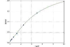 Glutamate Decarboxylase 2 (Pancreatic Islets and Brain, 65kDa) (GAD2) ELISA Kit