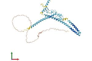 AlphaFold protein structure predicition of Human Recombinant LUC7L Protein, UniprotID Q9NQ29