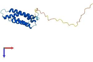 AlphaFold protein structure predicition of Human Recombinant AGTRAP Protein, UniprotID Q6RW13