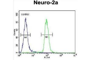 CIRH1A Antibody (N-term) flow cytometric analysis of Neuro-2a cells (right histogram) compared to a negative control cell (left histogram). (CIRH1A anticorps  (N-Term))
