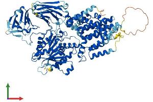AlphaFold protein structure predicition of Mouse Recombinant Pgap1 Protein, UniprotID Q3UUQ7