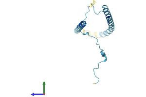 AlphaFold protein structure predicition of Mouse Recombinant Snca Protein, UniprotID O55042