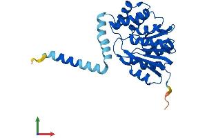 AlphaFold protein structure predicition of Human Recombinant COMT Protein, UniprotID P21964