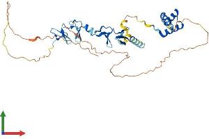 AlphaFold protein structure predicition of Mouse Recombinant Lhx6 Protein, UniprotID Q9R1R0