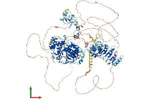AlphaFold protein structure predicition of Human Recombinant KDM2B Protein, UniprotID Q8NHM5