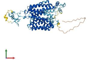 AlphaFold protein structure predicition of Mouse Recombinant Slc22a13 Protein, UniprotID Q6A4L0