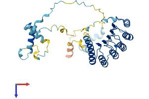 AlphaFold protein structure predicition of Mouse Recombinant Tmod3 Protein, UniprotID Q9JHJ0