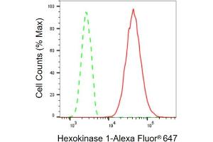 Flow cytometric analysis of Hexokinase 1 expression in HT- cells using Hexokinase 1 antibody (ABIN7798906), 1:2,000).