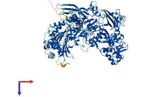 AlphaFold protein structure predicition of Human Recombinant POLR2B Protein, UniprotID P30876