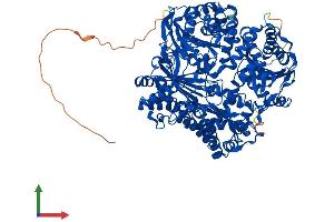 AlphaFold protein structure predicition of Mouse Recombinant Ide Protein, UniprotID Q9JHR7