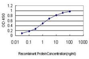Detection limit for recombinant GST tagged CACNB2 is approximately 0.