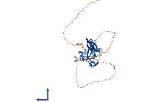 AlphaFold protein structure predicition of Mouse Recombinant Kmt5a Protein, UniprotID Q2YDW7
