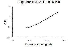 Horse equine IGF-1 PicoKine ELISA Kit standard curve (IGF1 Kit ELISA)