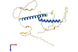 AlphaFold protein structure predicition of Human Recombinant OLIG1 Protein, UniprotID Q8TAK6
