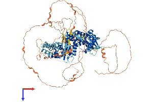 AlphaFold protein structure predicition of Human Recombinant RALGDS Protein, UniprotID Q12967