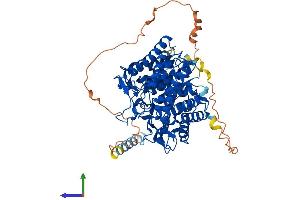 AlphaFold protein structure predicition of Mouse Recombinant Edem1 Protein, UniprotID Q925U4
