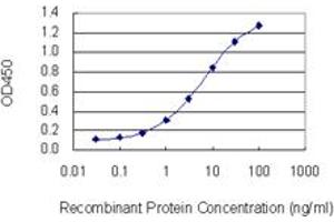 Detection limit for recombinant GST tagged FAF1 is 0. (FAF1 anticorps  (AA 551-650))