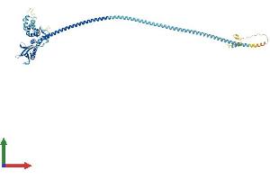 AlphaFold protein structure predicition of Human Recombinant SWAP70 Protein, UniprotID Q9UH65