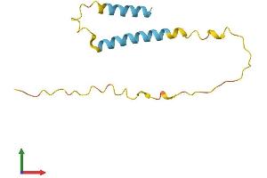 AlphaFold protein structure predicition of Human Recombinant LINC00596 Protein, UniprotID Q86U02