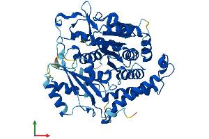 AlphaFold protein structure predicition of Mouse Recombinant Tubg2 Protein, UniprotID Q8VCK3