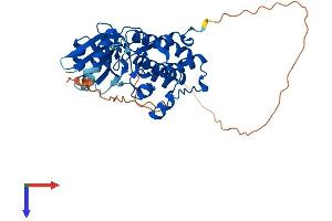 AlphaFold protein structure predicition of Human Recombinant TSSK1B Protein, UniprotID Q9BXA7