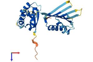 AlphaFold protein structure predicition of Human Recombinant KCTD6 Protein, UniprotID Q8NC69