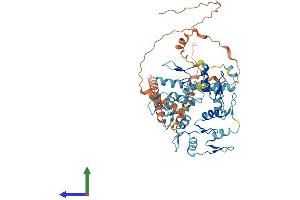 AlphaFold protein structure predicition of Human Recombinant ZNF286A Protein, UniprotID Q9HBT8