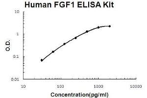 Human FGF1 PicoKine ELISA Kit standard curve (FGF1 Kit ELISA)