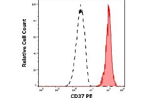 Separation of human CD37 positive CD19 positive lymphocytes (red-filled) CD37 negative CD19 negative lymphocytes (black-dashed) in flow cytometry analysis (surface staining) of human peripheral whole blood stained using anti-human CD37 (MB-1) PE antibody (10 μL reagent / 100 μL of peripheral whole blood).