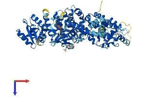 AlphaFold protein structure predicition of Human Recombinant ELMO2 Protein, UniprotID Q96JJ3