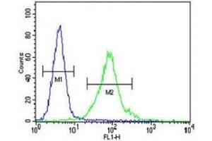 MeCP2 antibody flow cytometric analysis of MDA-MB435 cells (green) compared to a negative control (blue).